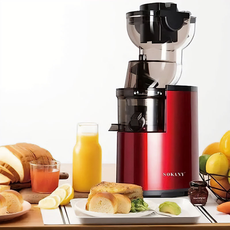 300-Watts-Sokany-Slow-Juicer